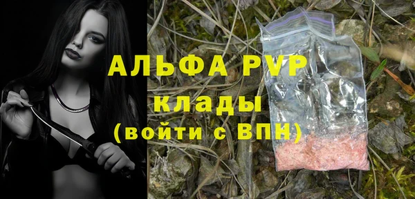молекула духа Магадан