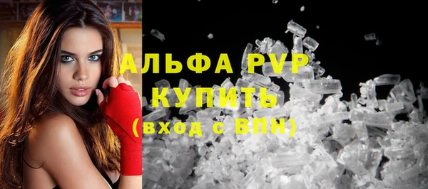 молекула духа Магадан