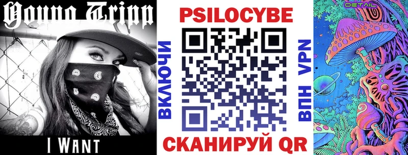 Псилоцибиновые грибы Cubensis  Дыгулыбгей 
